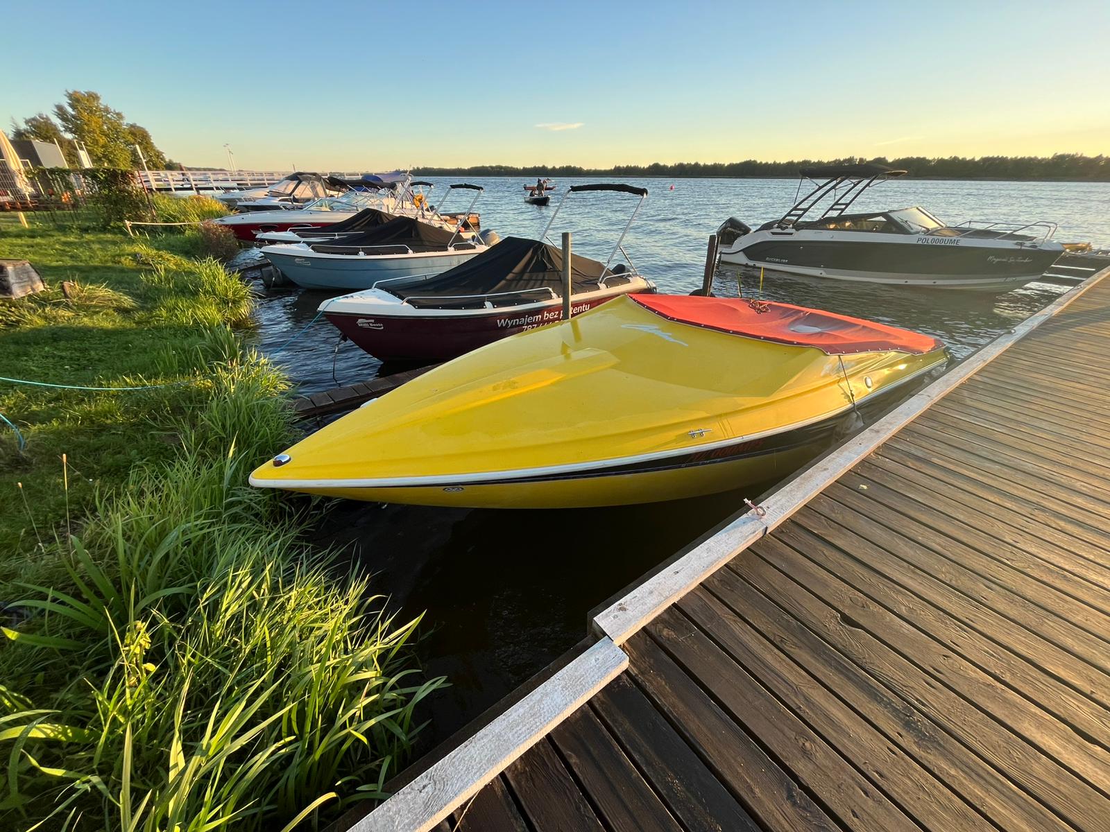 Zdjęcie WhatsApp 2025-01-31 o 23.36.13_25ee5a1b