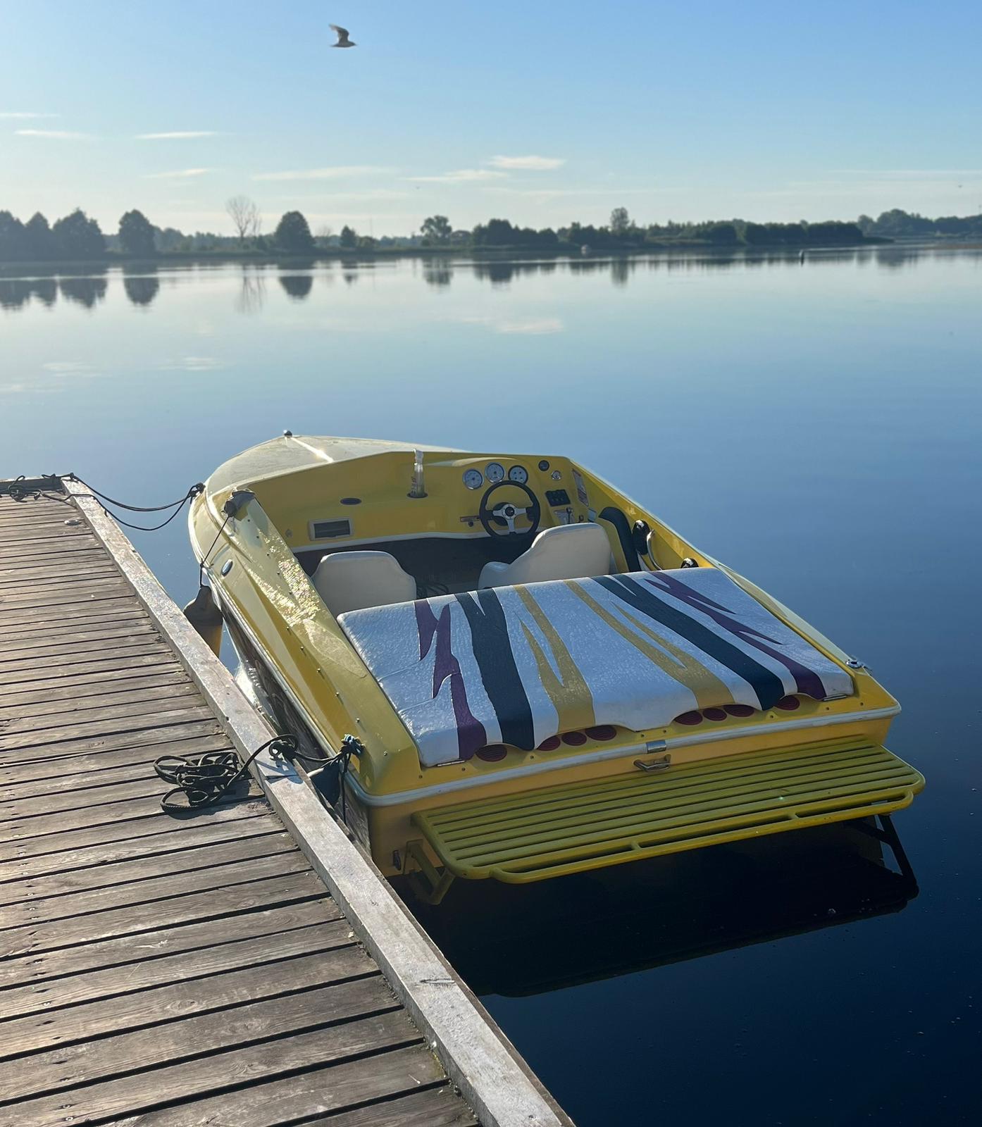 Zdjęcie WhatsApp 2025-01-31 o 23.36.13_d5f95c13