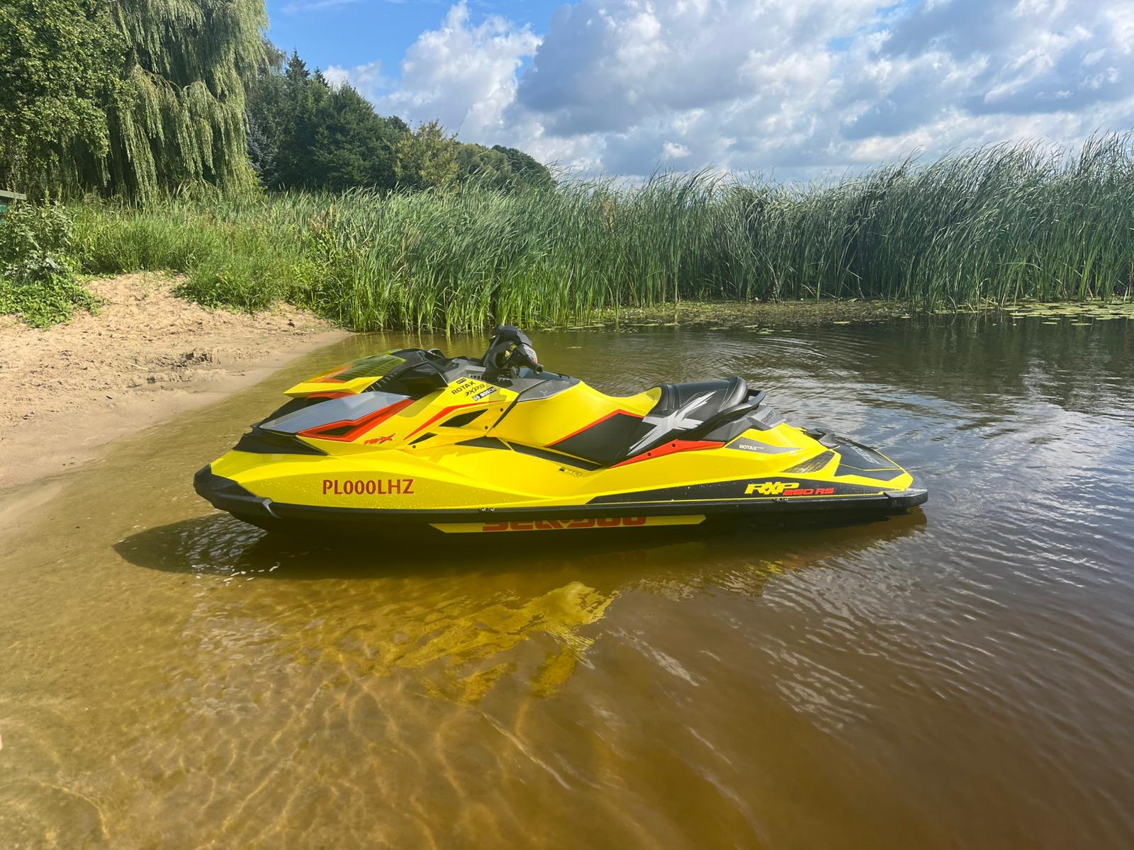 Zdjęcie WhatsApp 2025-01-31 o 23.37.58_31bef36d