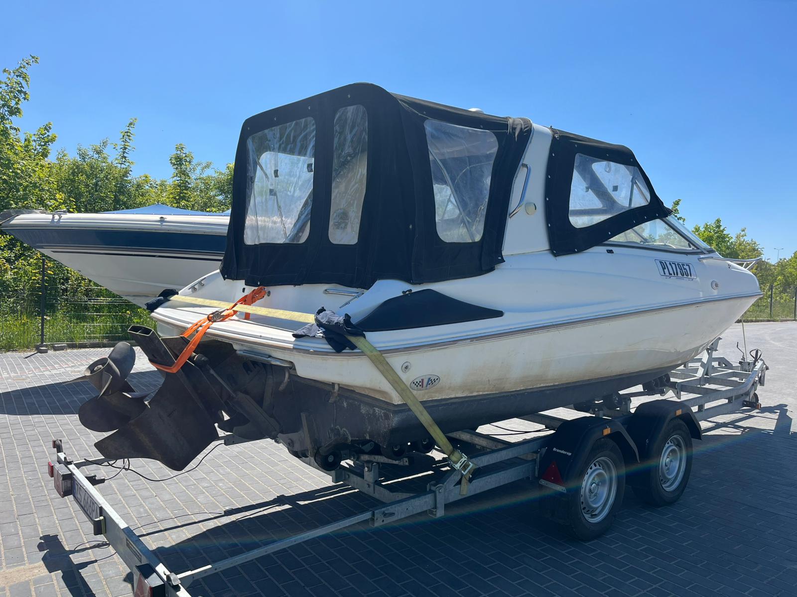 Zdjęcie WhatsApp 2025-01-31 o 23.47.38_94c56846