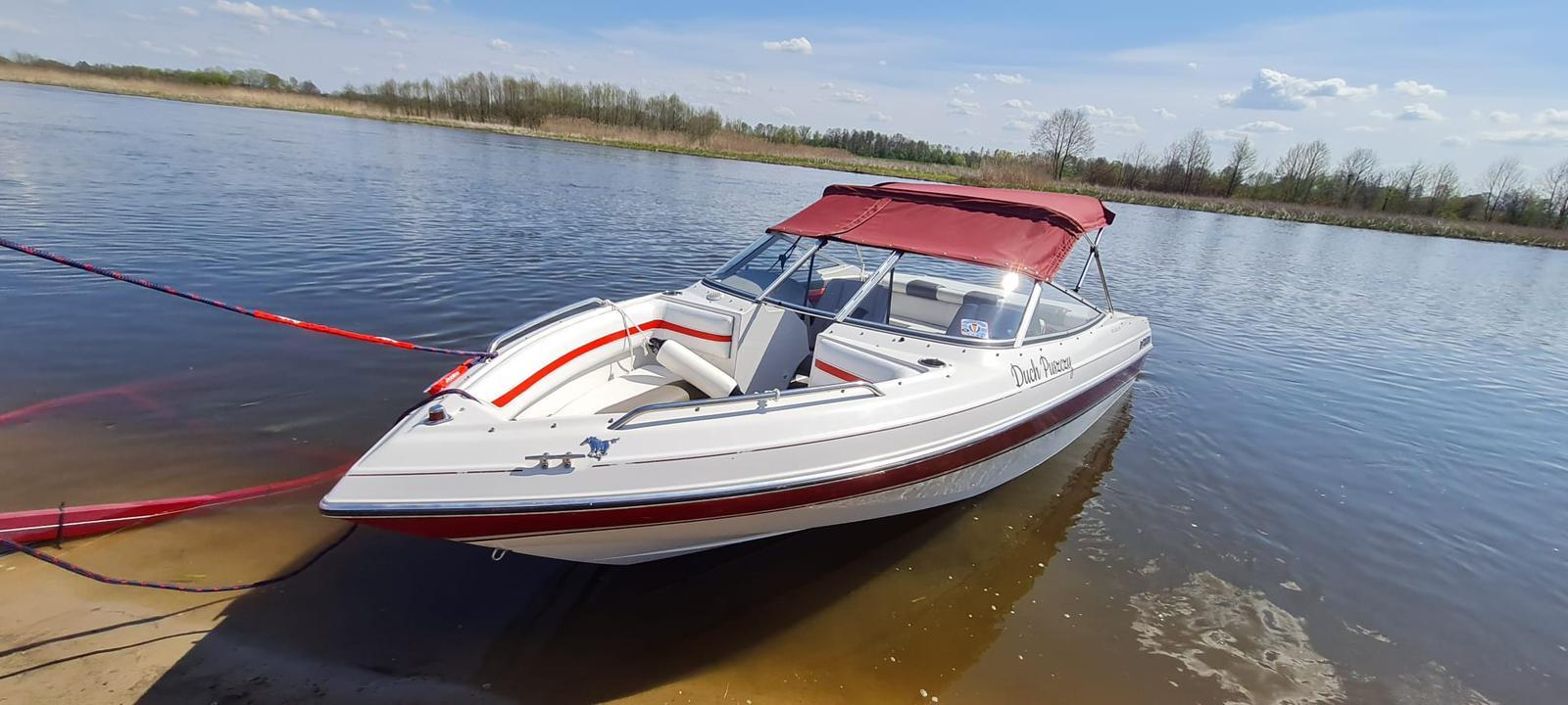 Zdjęcie WhatsApp 2025-02-01 o 00.00.02_3c95327d