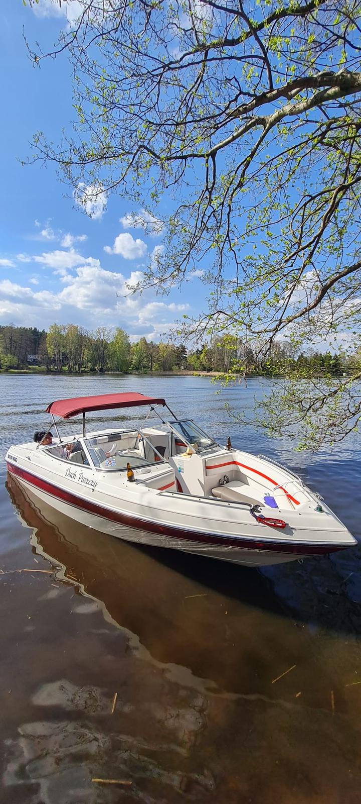 Zdjęcie WhatsApp 2025-02-01 o 00.00.03_042975dd