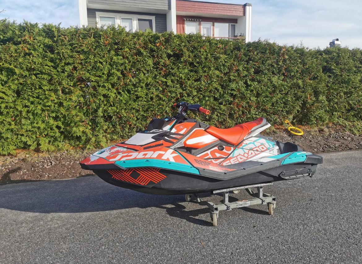 Zdjęcie WhatsApp 2025-02-01 o 00.09.18_4adbedf9