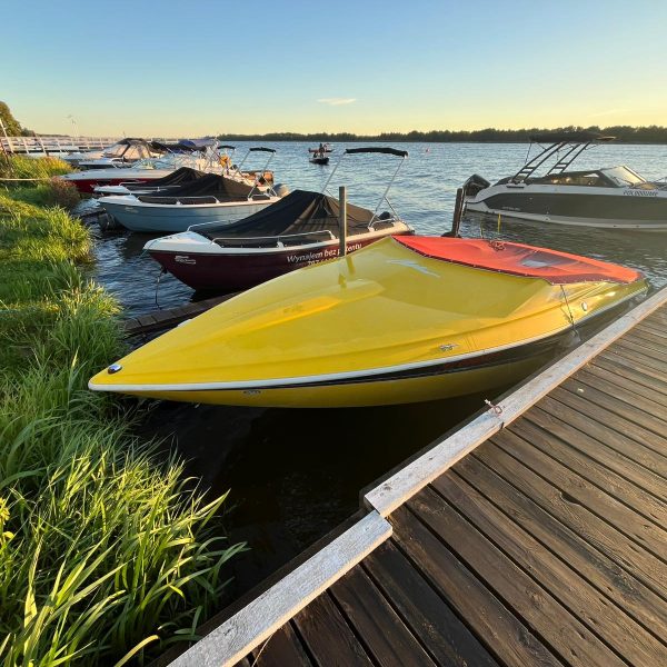 Zdjęcie WhatsApp 2025-01-31 o 23.36.13_25ee5a1b