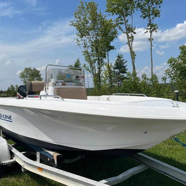 Zdjęcie WhatsApp 2025-01-31 o 23.38.35_71ffb821