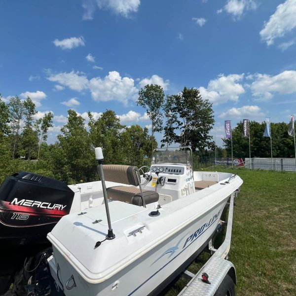 Zdjęcie WhatsApp 2025-01-31 o 23.38.41_b1104cb0