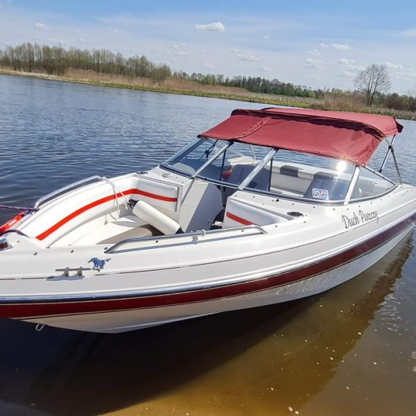 Zdjęcie WhatsApp 2025-02-01 o 00.00.02_3c95327d