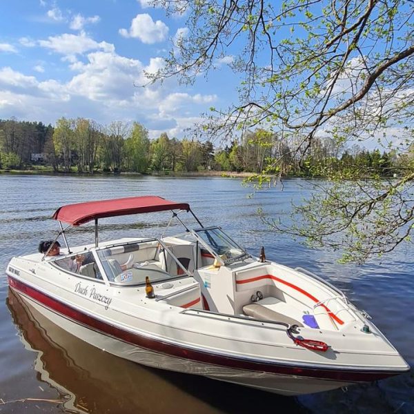 Zdjęcie WhatsApp 2025-02-01 o 00.00.03_042975dd