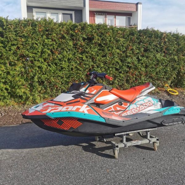 Zdjęcie WhatsApp 2025-02-01 o 00.09.18_4adbedf9