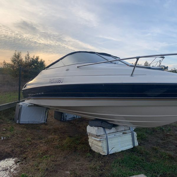 Zdjęcie WhatsApp 2025-02-01 o 00.13.17_52e18c0d